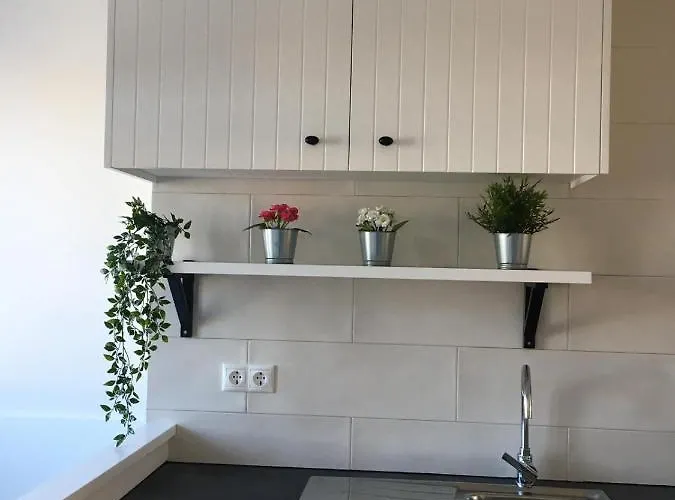 Luminoso Piso En Zona Monumental Con Vistas Al Lerez 公寓 *